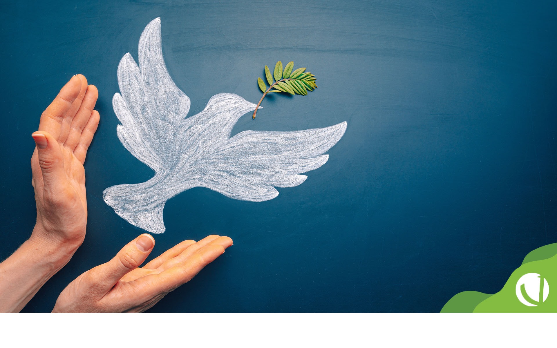 Cultura de Paz - Conselho Estadual de Educação